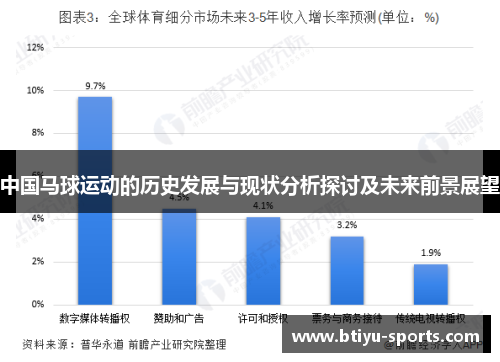 中国马球运动的历史发展与现状分析探讨及未来前景展望